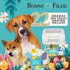 Easter-Spring Themed Dog Treats Gift Box